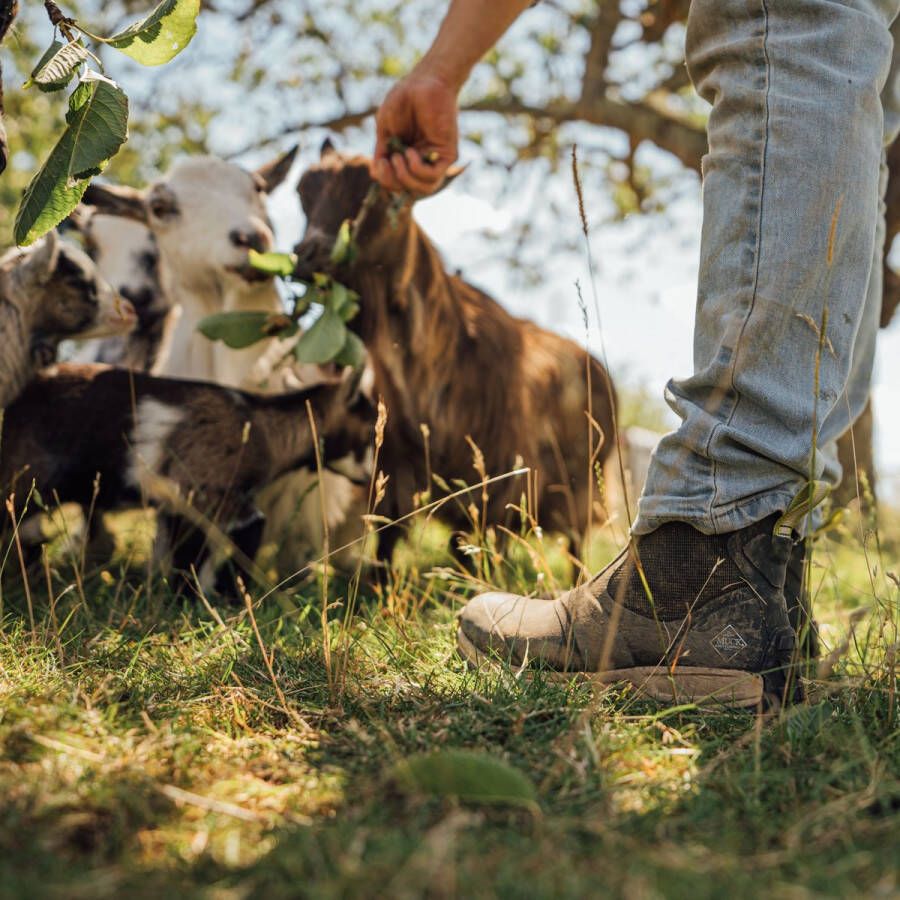 Muck Boot Apex Zip Moss Beige Heren