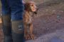 Muck Boot Muckmaster Groen - Thumbnail 2