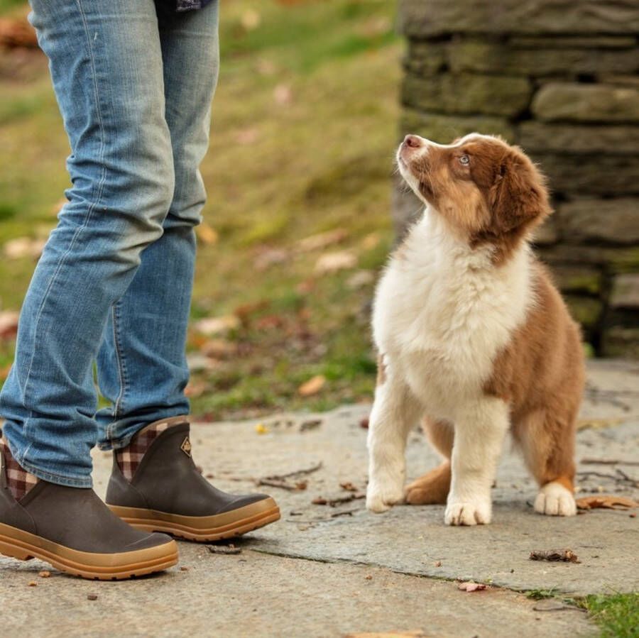 Muck Boots Muck Boot Muck Originals Pull On Ankle Brown Plaid Dames - Foto 4