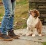 Muck Boots Muck Boot Muck Originals Pull On Ankle Brown Plaid Dames - Thumbnail 4
