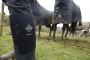 Muck Boot Derwent II Outdoorlaarzen Zwart - Thumbnail 4