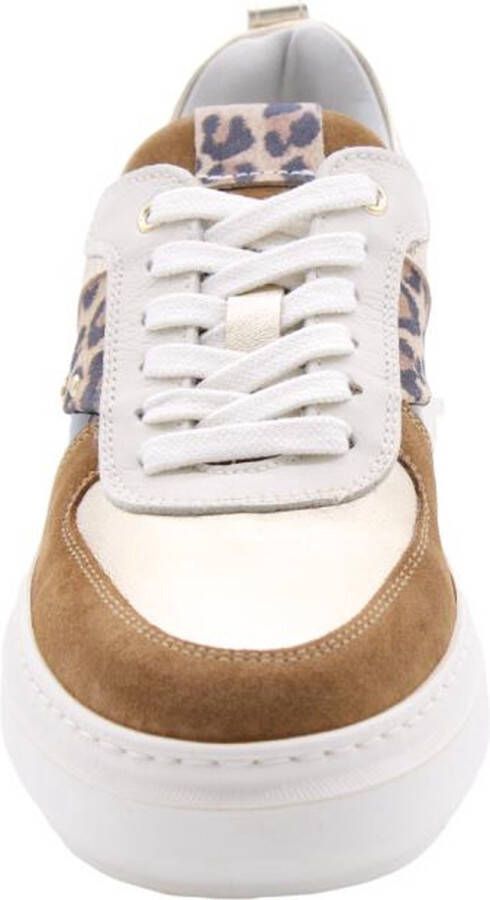 Nero Giardini Sneaker Brown