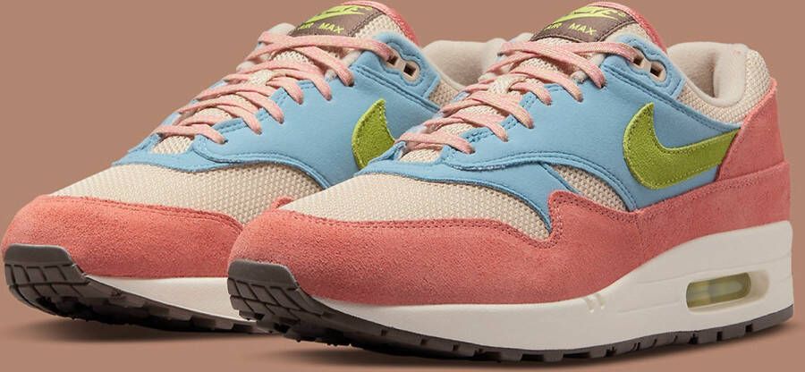 Nike Air Max 1 'Madder Root' Sneaker DV3196