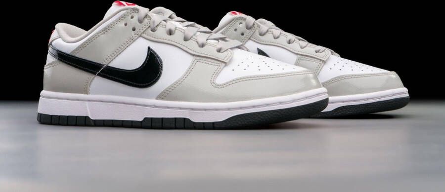 Nike Dunk Low Light Iron Ore (W) DQ7576-001 Kleur als op foto Schoenen