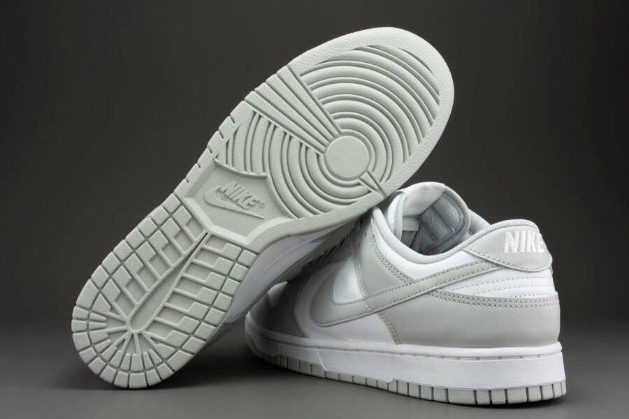 Nike Dunk Low Retro Grey Fog DD1391-103 Grijs Schoenen