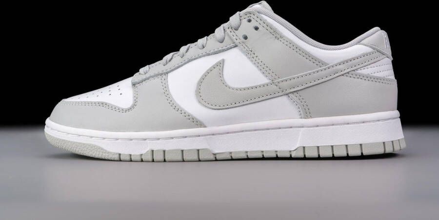 Nike Dunk Low Retro Grey Fog DD1391-103 Grijs Schoenen