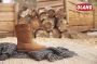 Olang Montreal cuoio bruin snowboots heren (montreal85) - Thumbnail 6