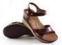 Panama Jack Dames Pumps Nica Sport B5 Cuero Donkerbruin - Thumbnail 7