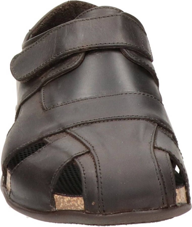 Panama Jack Flecher Basics sandalen bruin