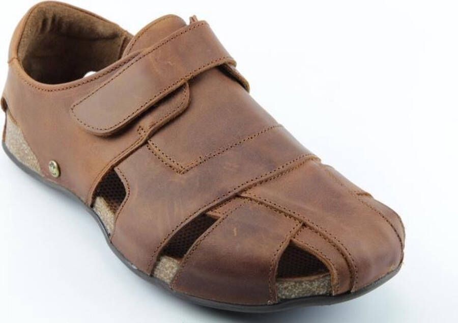 Panama Jack Fletcher Sandalen cognac Leer Heren