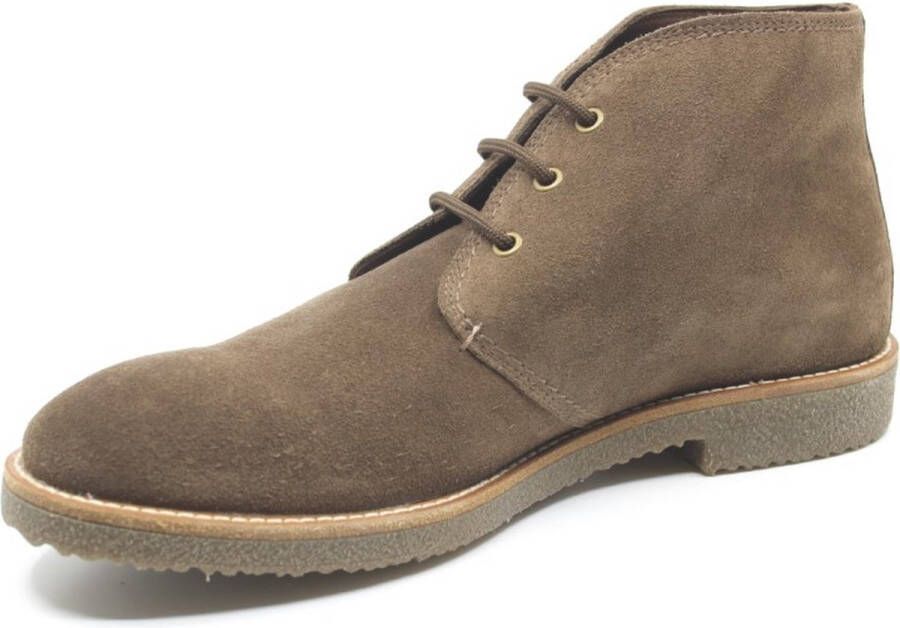 Panama Jack Gael veterschoenen bruin