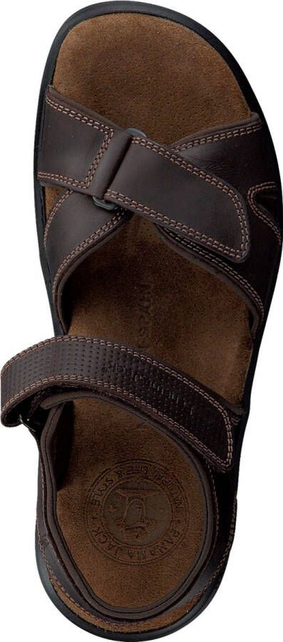 Panama Jack Heren Sandalen Sanders Bruin