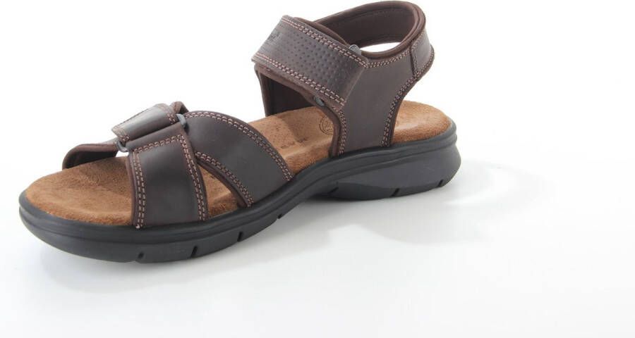 Panama Jack Heren Sandalen Sanders Bruin