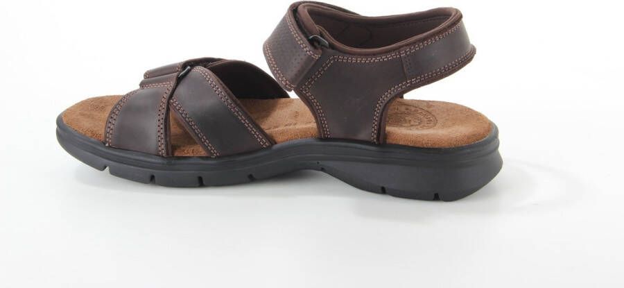 Panama Jack Heren Sandalen Sanders Bruin