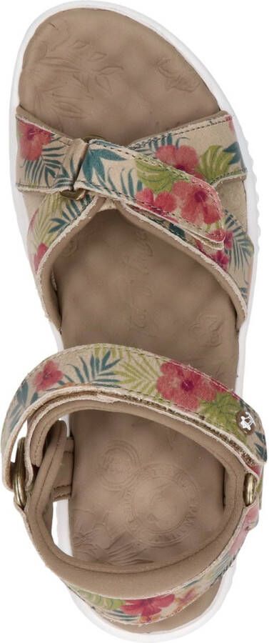 Panama Jack Noja Tropical B2 sandalen beige