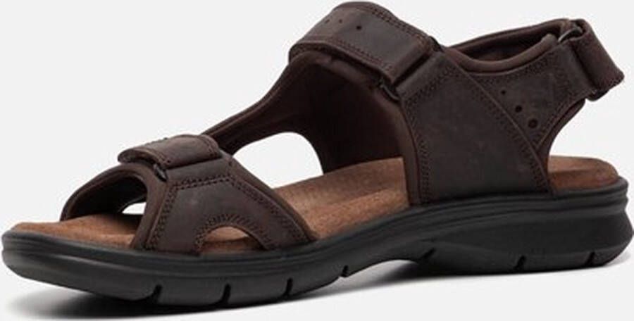 Panama Jack Salton Basics heren sandaal Bruin
