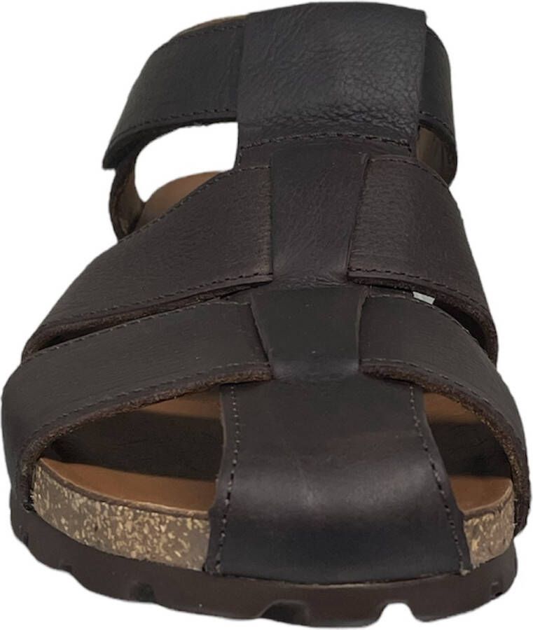 Panama Jack Stanley Sandalen bruin