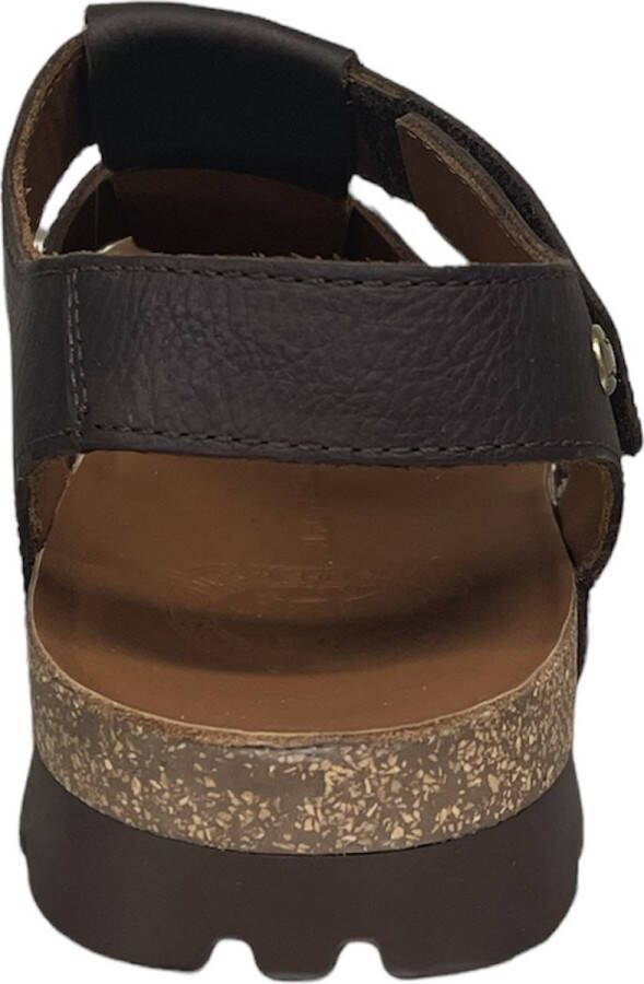 Panama Jack Stanley Sandalen bruin