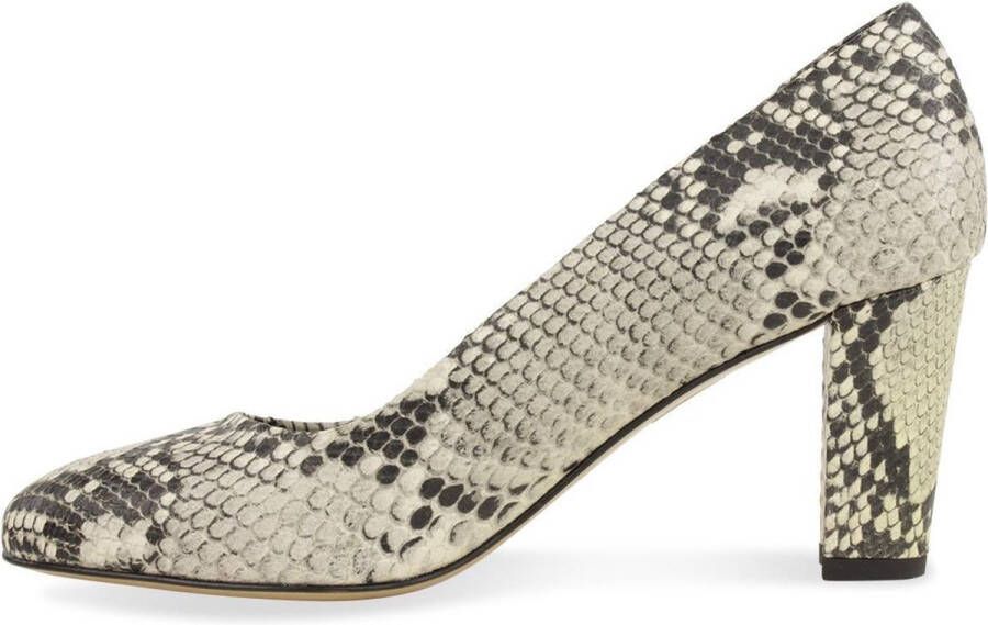 Passi in Capolavori Nan pump Anaconda