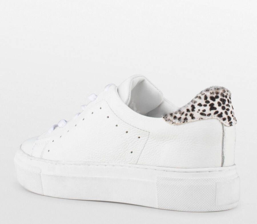 PS Poelman TITULAR Dames Sneakers Wit
