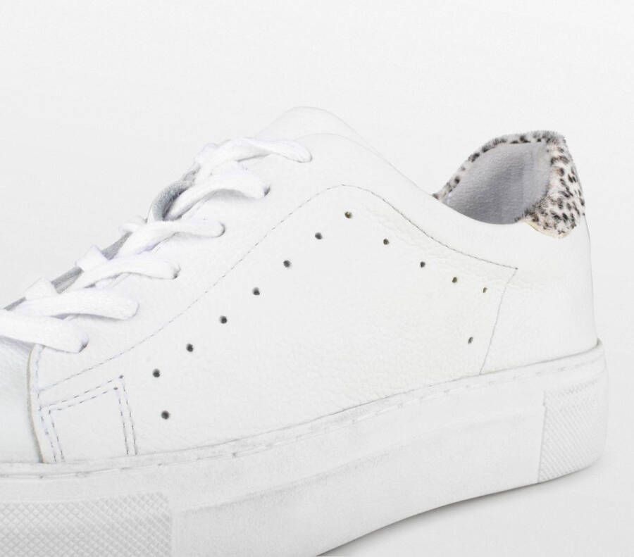 PS Poelman TITULAR Dames Sneakers Wit
