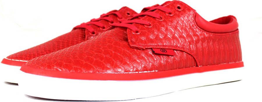 radii Jax Blood Python Blood Python