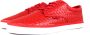 Radii Jax Blood Python Blood Python - Thumbnail 2