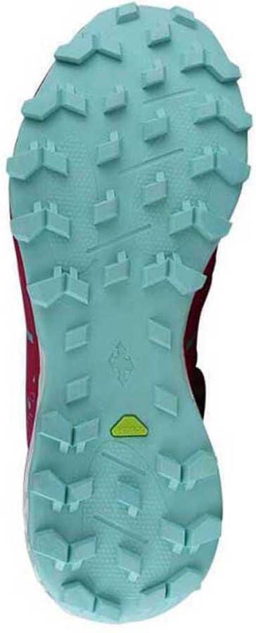 Raidlight Responsiv Dynami Trailrunningschoenen Roze Vrouw