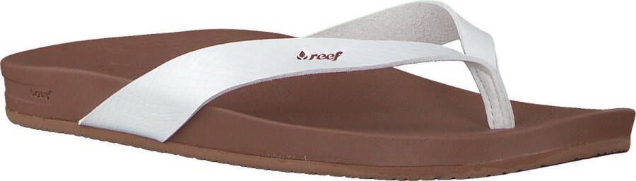 Reef Cushion Court Dames Slippers Cloud