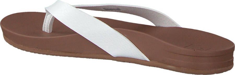 Reef Cushion Court Dames Slippers Cloud
