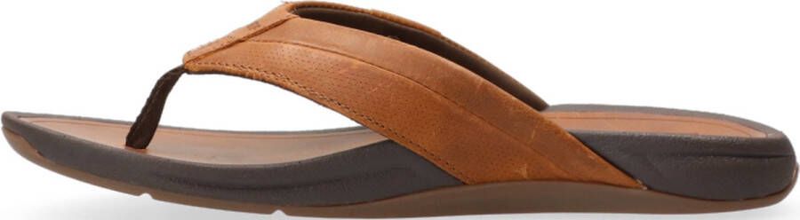 Reef Pacific Le Heren Slippers Bruin