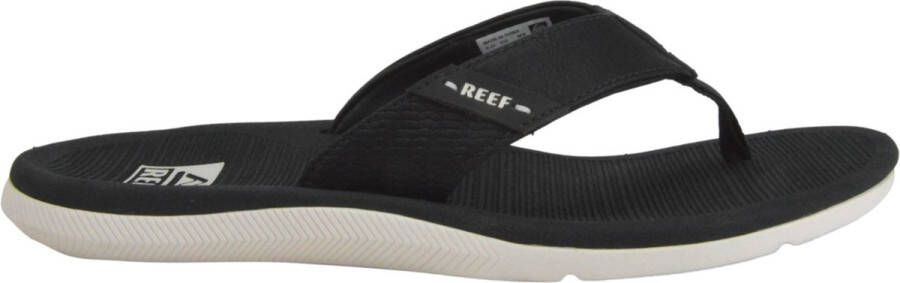 Reef Santa Ana Grey