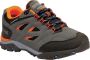 Regatta Holcombe IEP Low Junior Wandelschoenen Mannen Grijs - Thumbnail 2