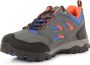 Regatta Holcombe IEP Low Junior Wandelschoenen Mannen Grijs - Thumbnail 5