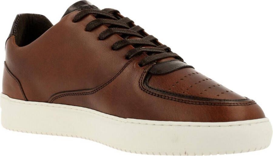 Rehab Thabo Class Sneaker Men Brown