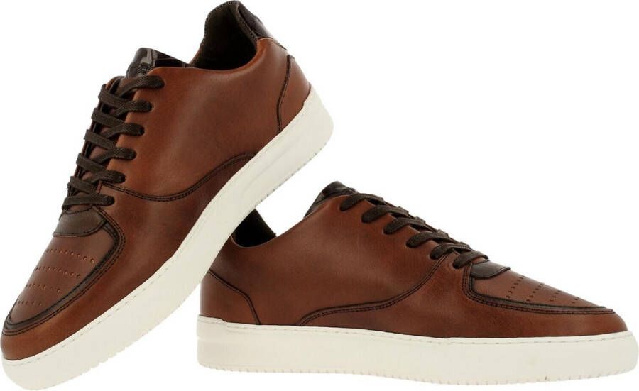 Rehab Thabo Class Sneaker Men Brown