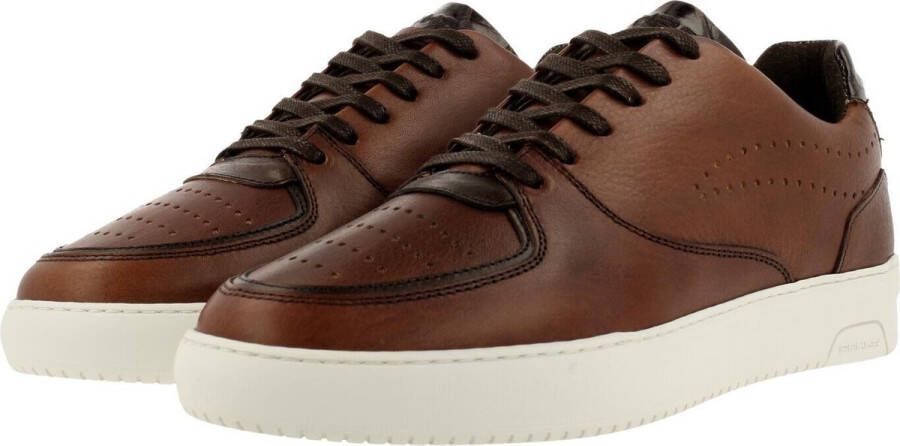 Rehab Thabo Class Sneaker Men Brown