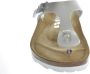 Rohde Leren Teenslippers Dames Wit Metalli - Thumbnail 25