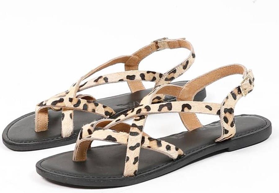 Sacha Dames Leren sandalen met luipaardprint
