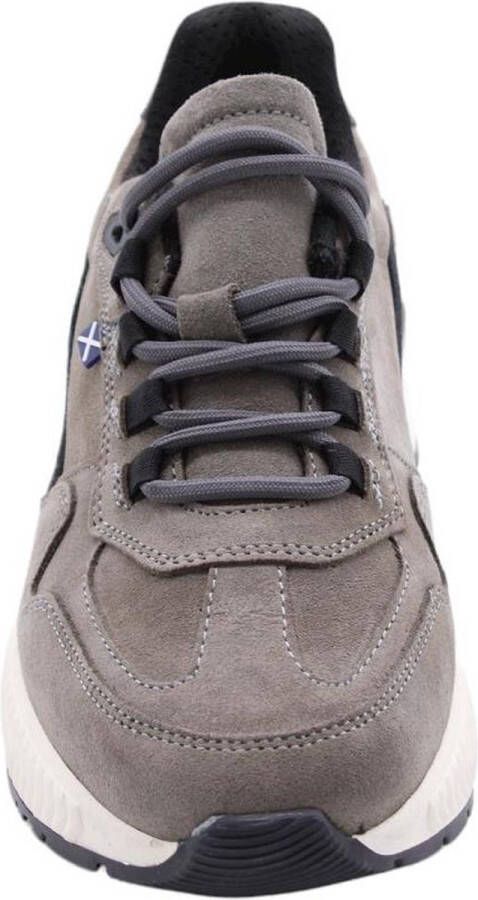 Scapa Sneaker Gray