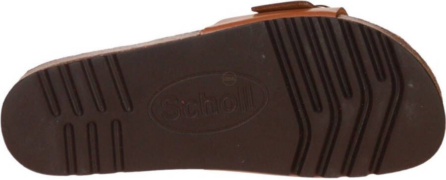 Scholl KATHLEEN Lea-W