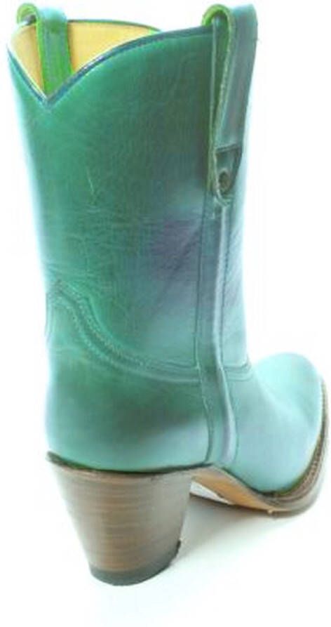 Sendra Boots 8481 Groen Donna Cuba Dames Enkellaars Hoge Hak Spitse Neus Rechte Schacht Treklussen Echt Leer