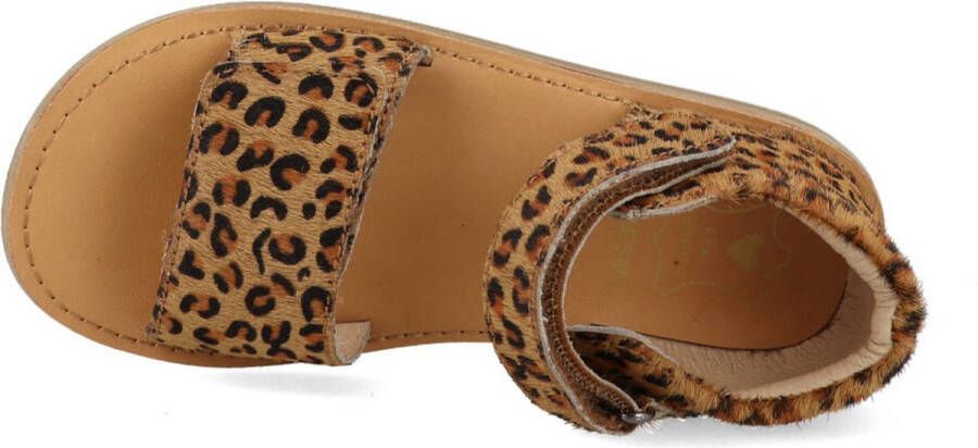 Shoesme Sandalen Meisjes Leopardo Cognac Leer