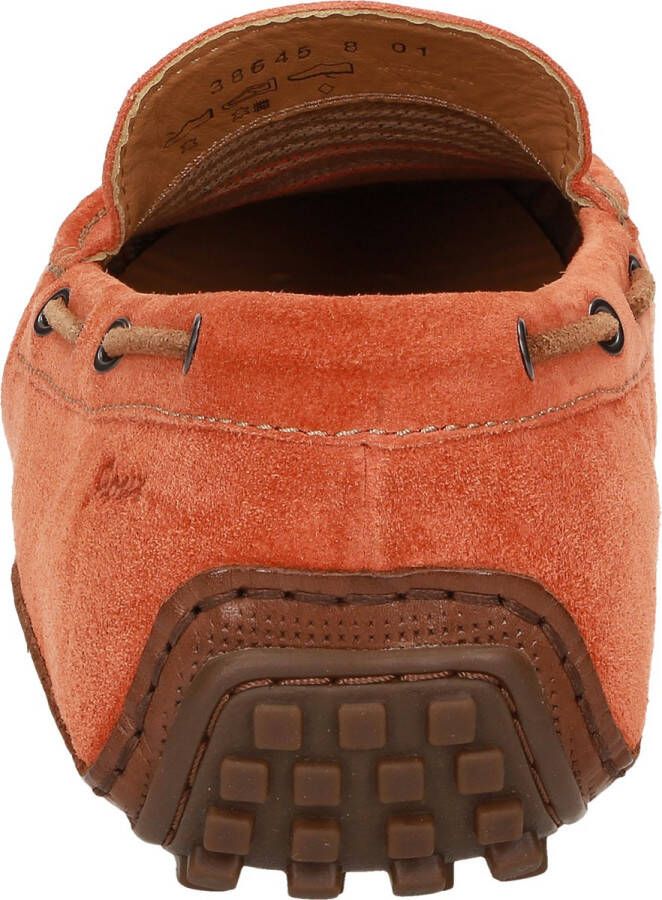 Sioux Callimo.4138645 Citrus