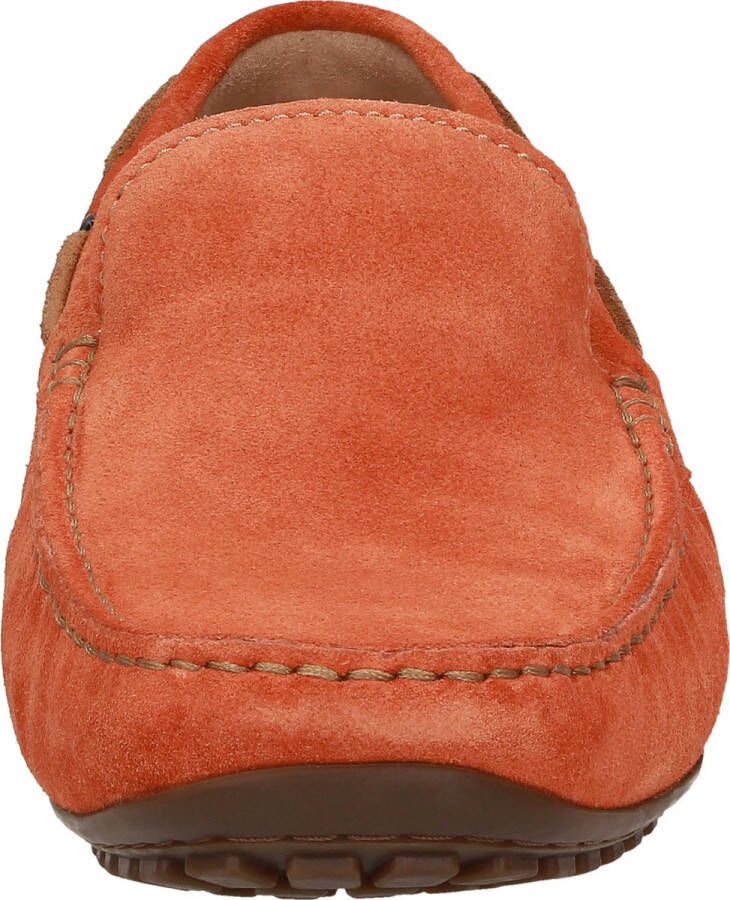 Sioux Callimo.4138645 Citrus