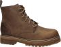 Skechers Alley Cats Talgen 204169-DSCH Mannen Bruin Trappers - Thumbnail 12