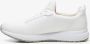 Skechers Werkschoenen SQUAD SR sneakers voor horeca & zorg met gepolsterde schacht - Thumbnail 9