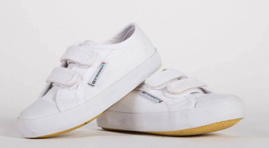 Stanno Canvas Gymschoen