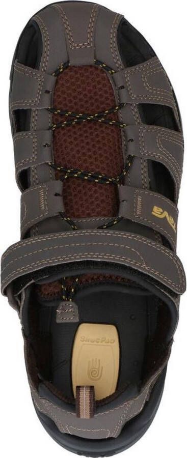 Teva Forebay Heren Wandelsandalen Bruin