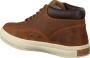 Timberland Adv 2.0 Cupsole Chukka Winter schoenen glazed ginger maat: 46 beschikbare maaten:44 45 43.5 46 - Thumbnail 8